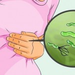 Bakterija-Helicobacter-pylori
