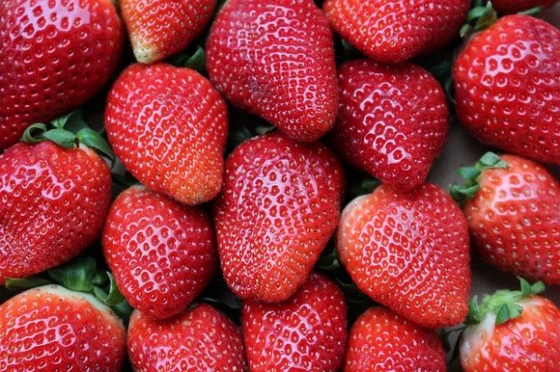 strawberries-1395771_640